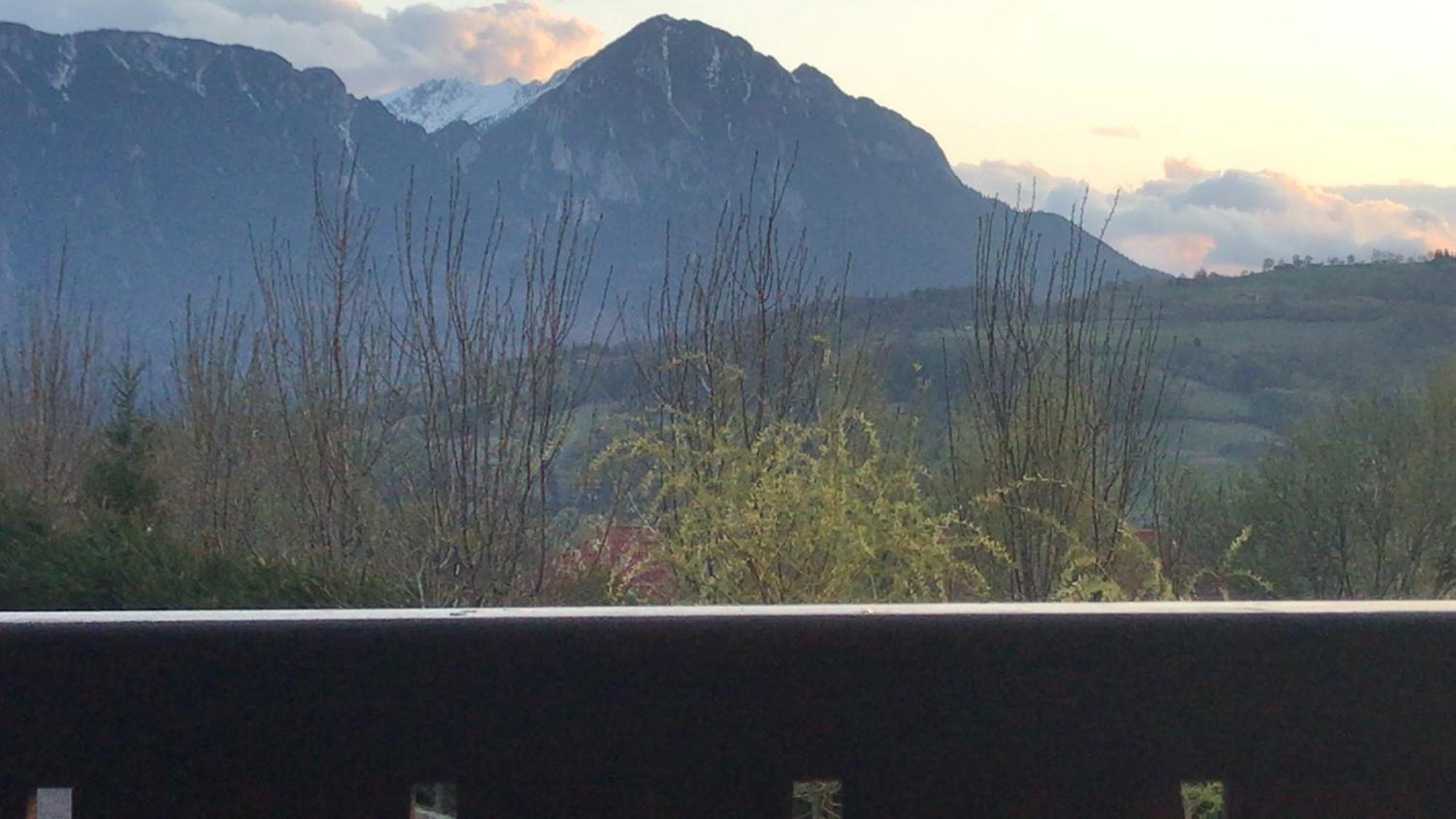 Pension Chalet Poiana Marului Ranch Εξωτερικό φωτογραφία