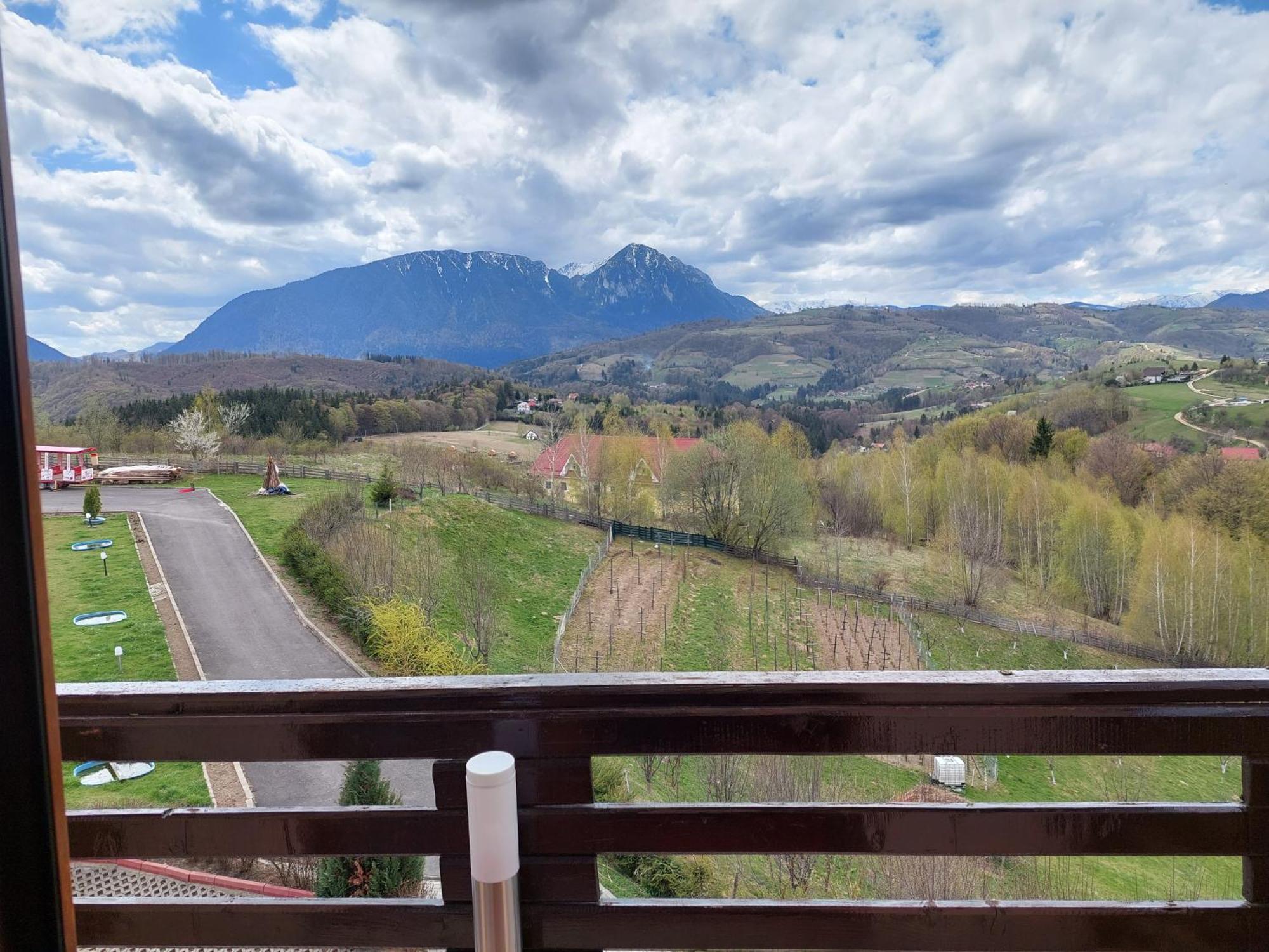 Pension Chalet Poiana Marului Ranch Εξωτερικό φωτογραφία